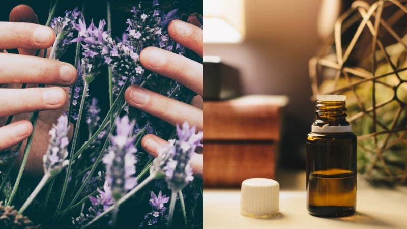 精油到底要怎麼挑?內行人提醒這8點要注意,新手必看懂瓶身標示