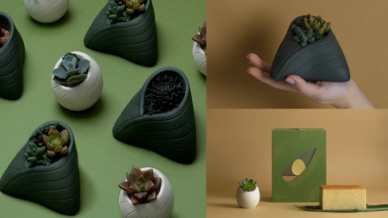 零熱量粽子！有肉端午節禮盒絕美登場，粽葉、蛋形盆器裝多肉植物萌翻天