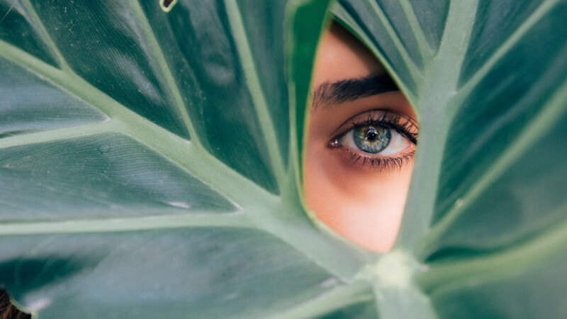 美妝產業如何開創新局？ 91APP公布《2022 美妝品牌商務趨勢洞察報告》，D2C、OMO成為營收關鍵字