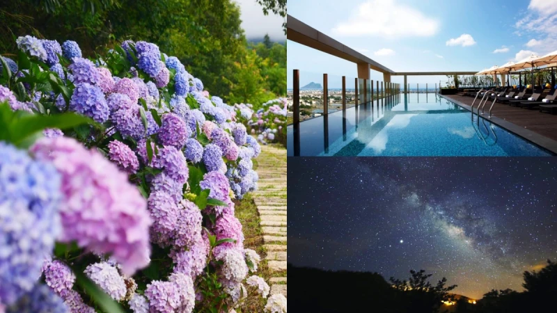 夏日限定繡球花、夜間觀星一次圓夢！快到晶泉丰旅放暑假，還有無邊際泳池能拍美照