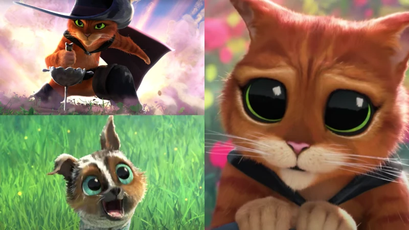 《鞋貓劍客2》大銀幕裝無辜賣萌!收編成家貓展開新冒險,還遇上開心治療犬