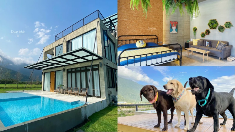 帶著毛孩們一起去旅行！寵物友善住宿推薦：花蓮新城．乘山舟、逐稻浪——「方舟島Villa」