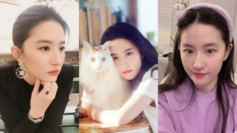 天仙劉亦菲的10大魅力!15歲上大學,曾收養多達50隻貓,素顏上大螢幕也不怕