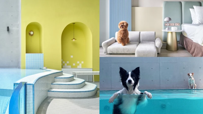 「多野樂旅館」全台首間寵物友善設計旅館！透明泳池、全館能落地，還能和爸媽一起入夢鄉