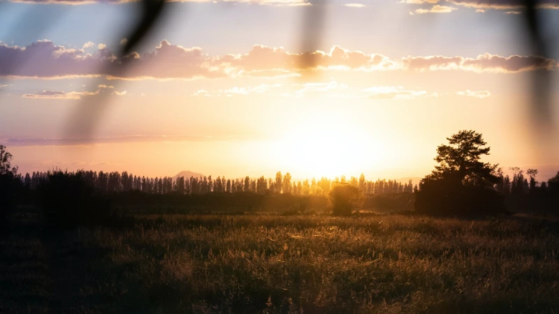 農遊券3.0怎麼領？一張面額200元，如何使用5大QA懶人包