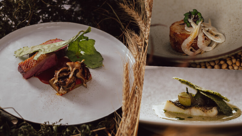「好嶼 HOSU」秋季菜單登場：11道料理與台灣平原物產共譜豐饒秋之味