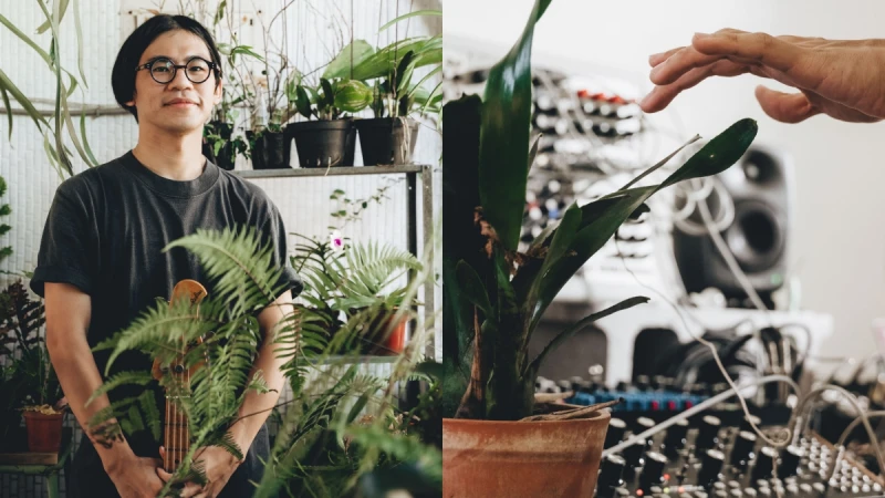 療癒先決/N Studio 主理人 Nick Tsai 實驗聲響,植作發聲的心電感應