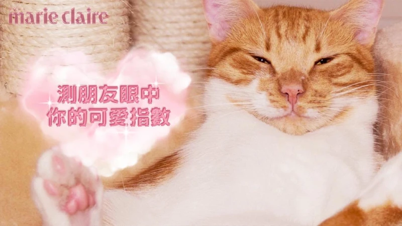 心理測驗/朋友眼中的我,機器寵物5選1,測你的可愛指數