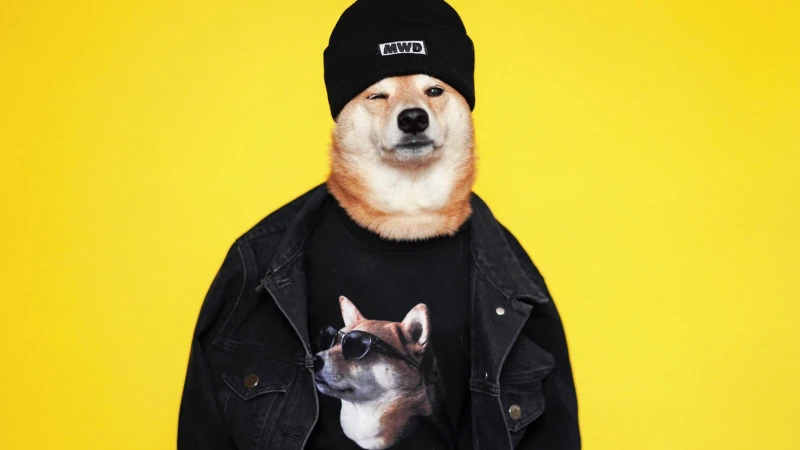 談穿搭？狗比人講究！ Menswear Dog柴犬品味席捲時尚圈 