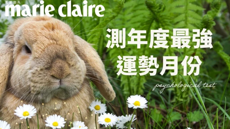 心理測驗/兔子直覺6選1,最易心想事成的強運期在何時?