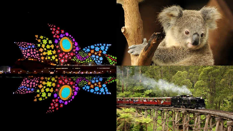 全球最大聲光年度盛典！「繽紛雪梨燈光音樂節」睽違2年回歸，直飛航班優惠、推薦行程與景點一次看