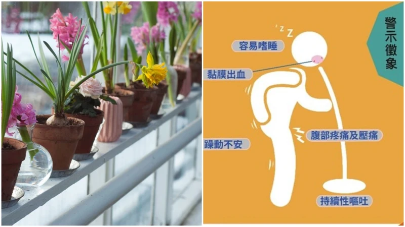 隔3年北市首例本土登革熱出現！登革熱會傳染嗎？3招防治登革熱！警示症狀、治療藥物、滅蚊方式一次看