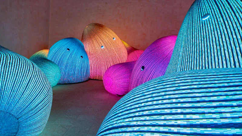 亞洲獨家！奇幻療癒又好拍，澳洲藝術團隊ENESS全球最大規模特展《AI靈感大師：澳洲3D光影觸動樂園》就在誠品生活新店！