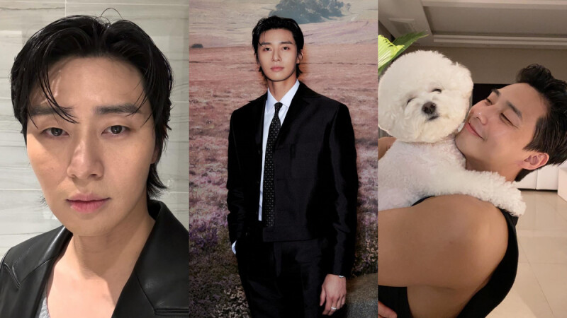 朴敘俊不可不知的圈粉7件事!低調行善捐款、出道貴人是金秀賢