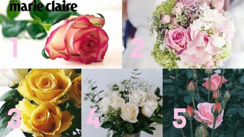 心理測驗/感情會有進一步發展嗎?玫瑰5選1,測近期單戀的結果