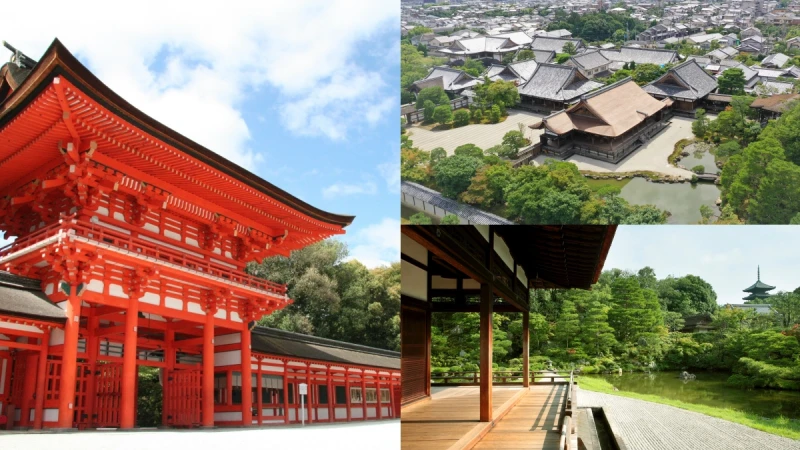 夏季限定!京都最新「觀光特急巴士」一遊世界遺產登錄30周年千年文化財風采