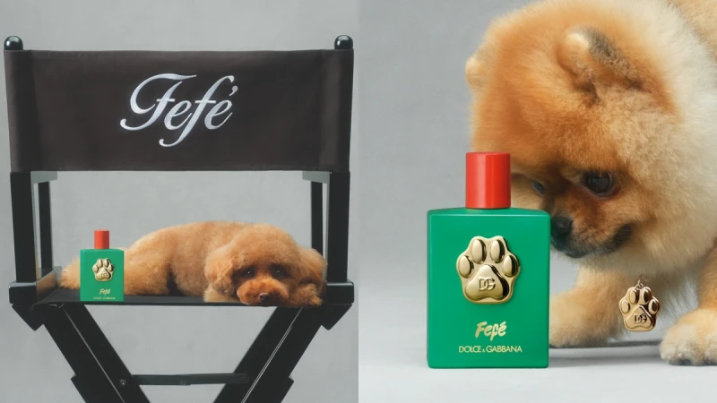 Dolce&Gabbana竟然推出狗狗香水!無酒精的Fefé香氛噴霧,讓狗狗聞了也有好心情