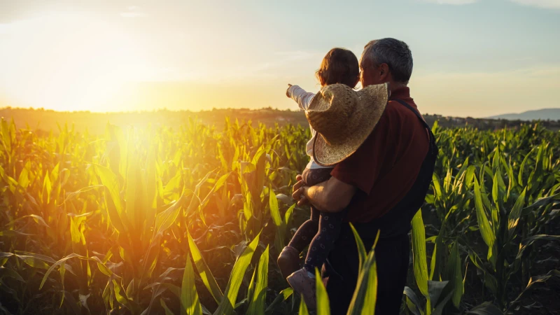 10/11重陽節禁忌＆由來習俗！這4生肖出門要小心，容易沖煞健康出問題