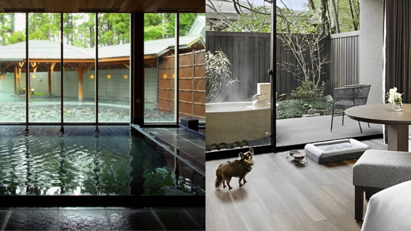 2025箱根溫泉旅行必看!10家豪華溫泉飯店、私人豐呂湯屋大公開