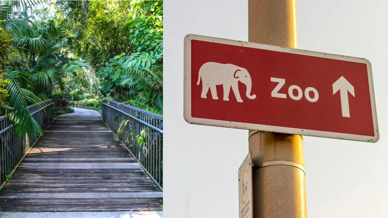 心理測驗|進入小動物山間,測測自己在敏感與理智間要注意什麼?