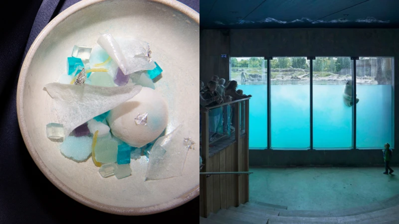 The Studio打造全新私廚菜單！《非（自然）風景》將藝術入菜，8道料理開啟味蕾饗宴