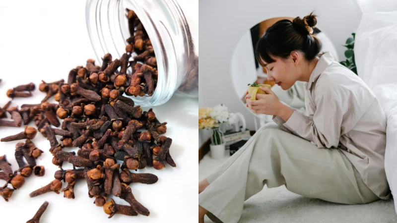 「丁香」天然的抗炎特效藥 3種丁香養生法 專治口臭、胃脹、還能提神醒腦、緩解生理不適！