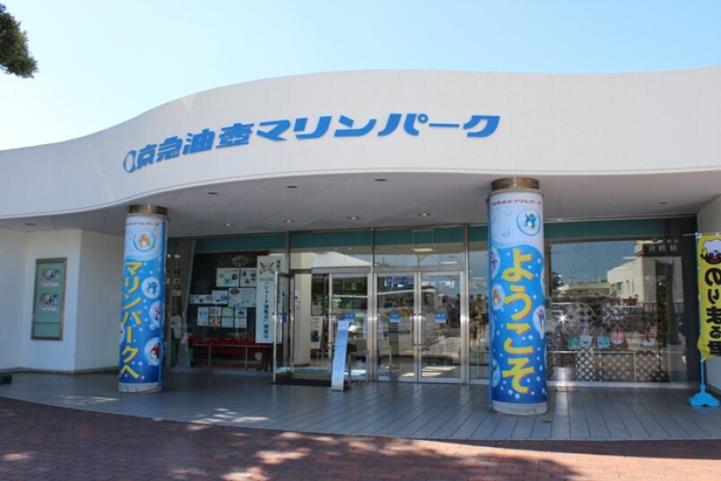 和水獺君握手約定暑假可愛必訪神奈川海洋公園 Marie Claire 美麗佳人