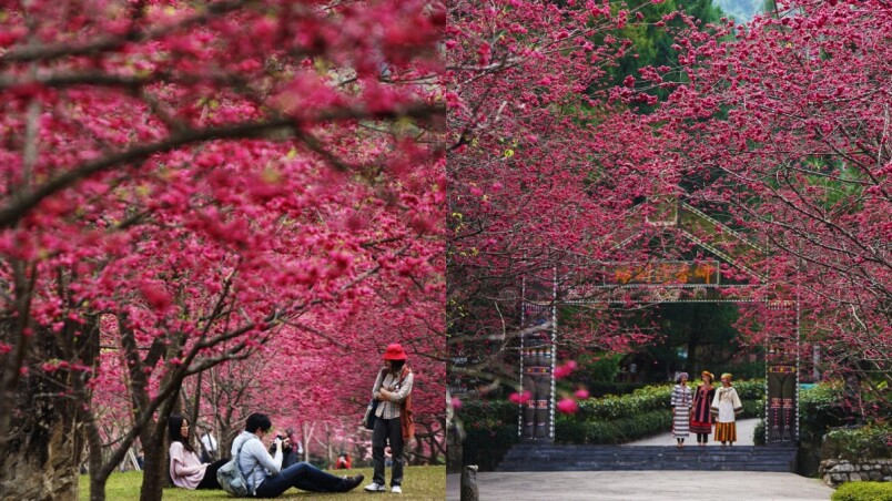 中部過年走春景點 嘉義花磚博物館 趣吧旅行筆記